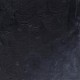 WINTON  PAYNE’S GRAY